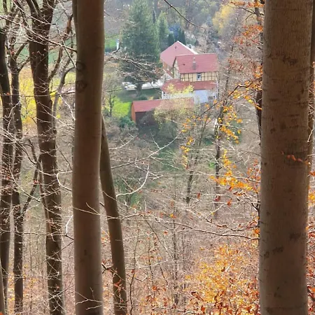 Ferien Langer Grund Mitten Im Wald * Bad Pyrmont