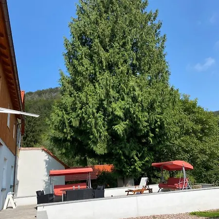 Ferien Langer Grund Mitten Im Wald *