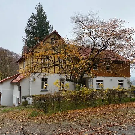 Ferien Langer Grund Mitten Im Wald Appartement *